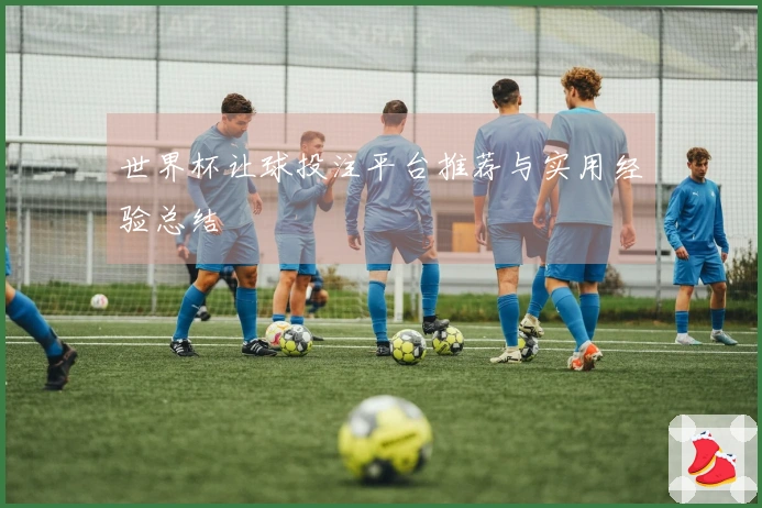 世界杯让球投注平台推荐与实用经验总结