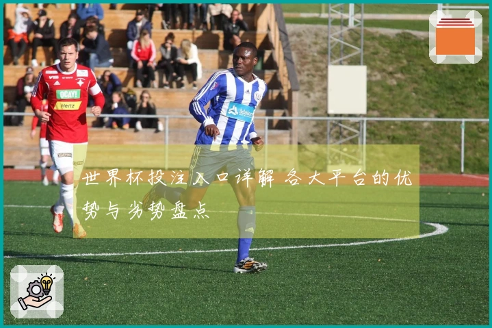 世界杯投注入口详解 各大平台的优势与劣势盘点