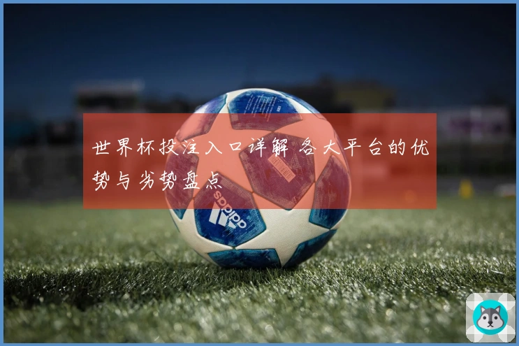 世界杯投注入口详解 各大平台的优势与劣势盘点