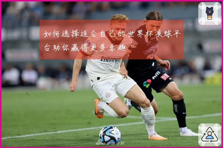 如何选择适合自己的世界杯滚球平台助你赢得更多乐趣